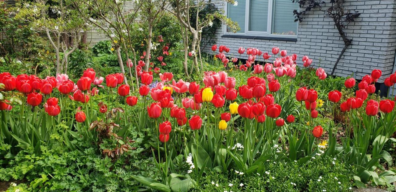 Mini-Apartment In The Flowerbed Soborg Luaran gambar